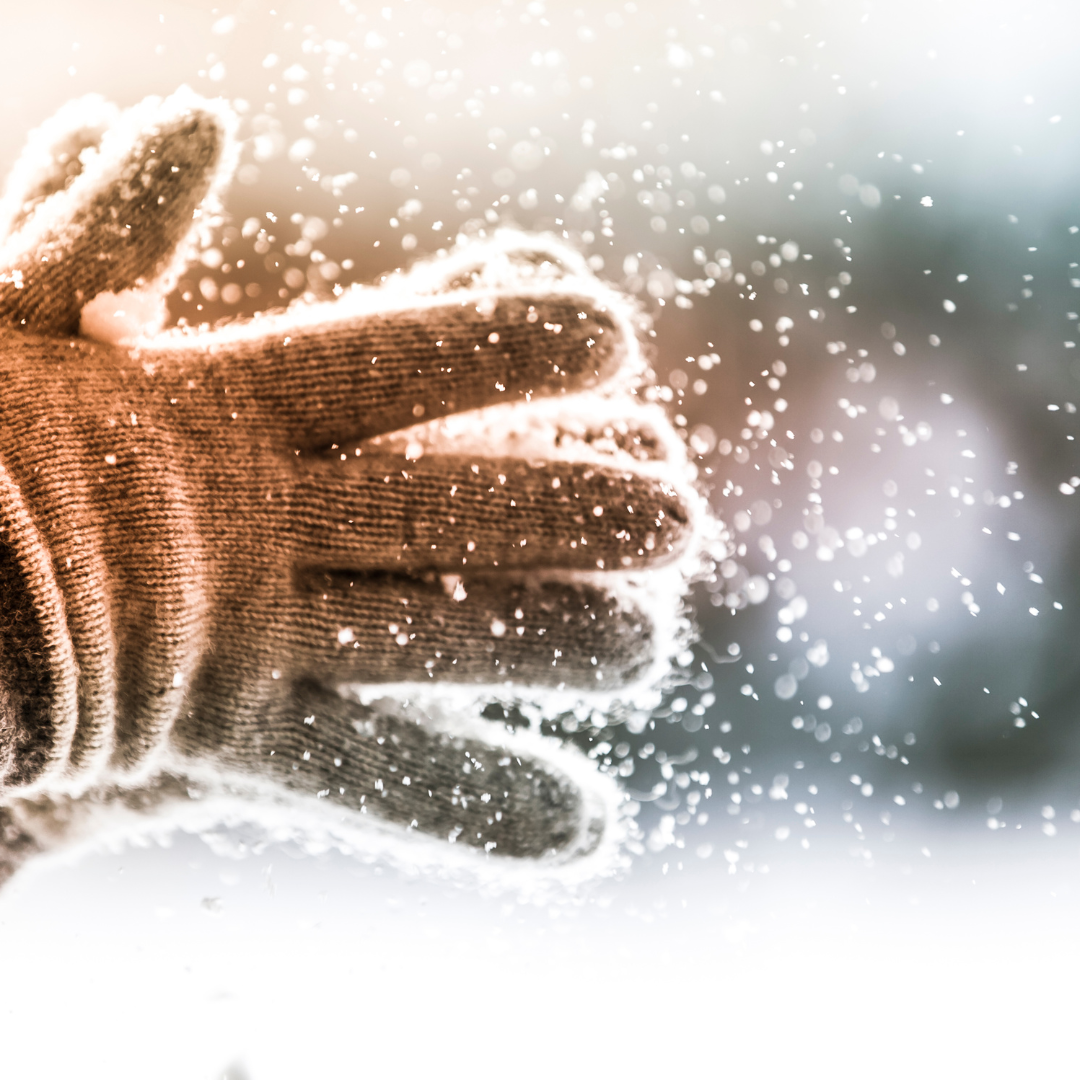 Wintercollectie